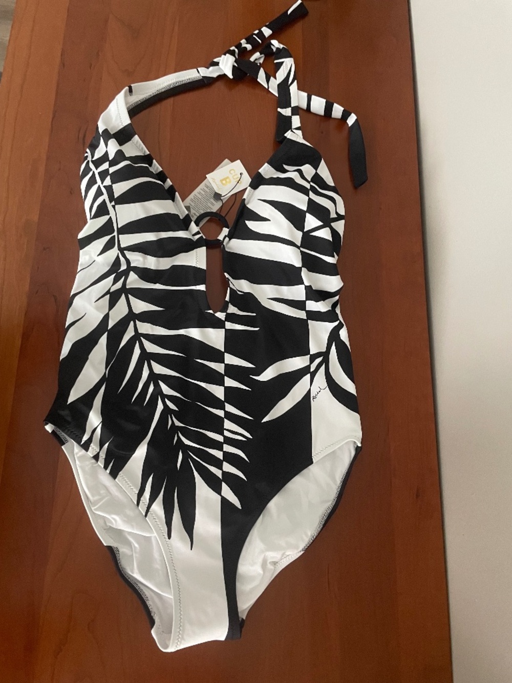 Roidal Halter Plunge One-Piece Swimsuit